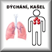 Dýchání, kašel