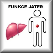 Funkce jater