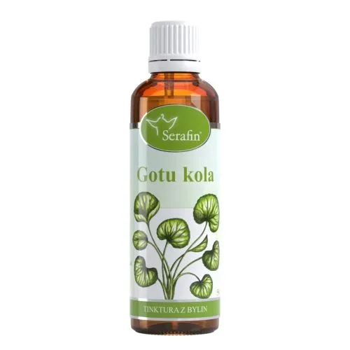 Gotukola – tinktura z bylin Serafin 50 ml