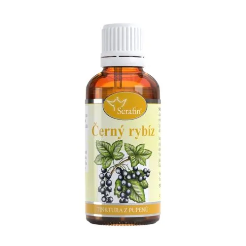 Černý rybíz – tinktura z pupenů 50 ml