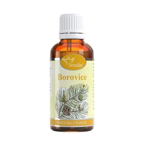 Borůvka – tinktura z pupenů 50 ml