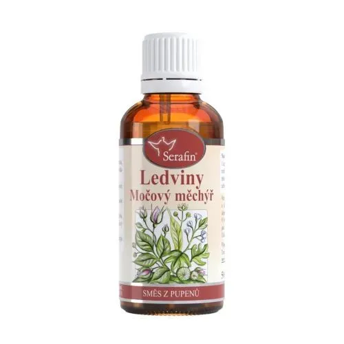 Ledviny a močový měchýř - směs z pupenů 50 ml