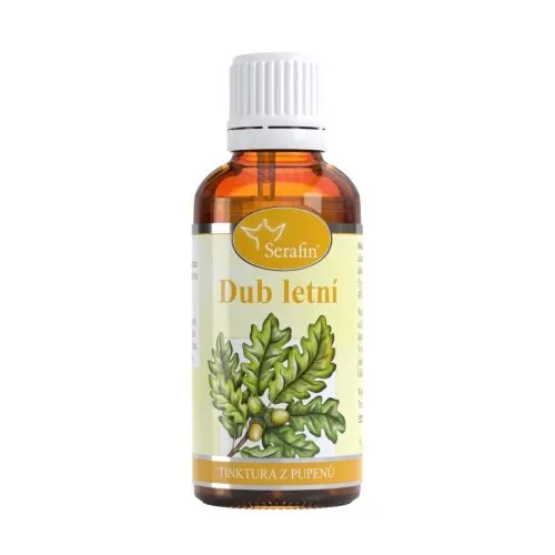 Dub – tinktura z pupenů 50 ml