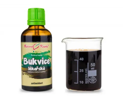 Bukvice lékařská - bylinné kapky (tinktura) 50 ml